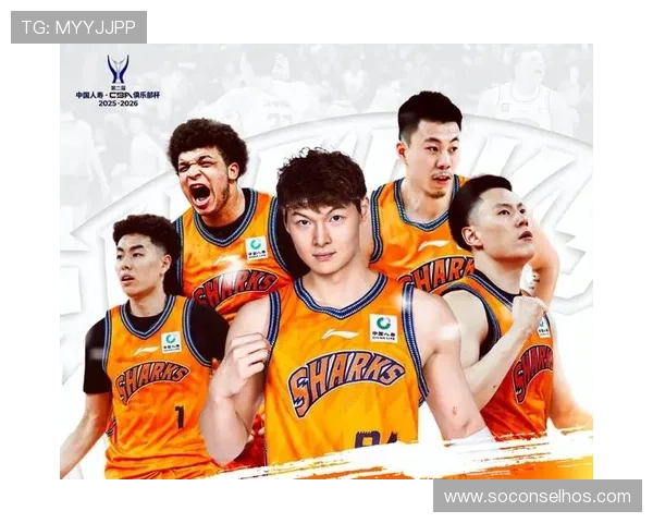 张镇麟23分白边爆发上海双杀