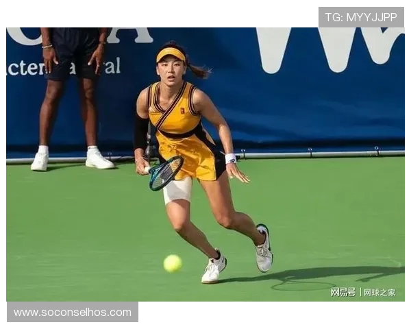 辛纳出局美三姐妹围剿白菜风波