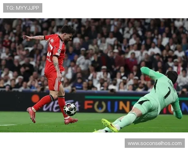 邵子钦:本菲卡是大俱乐部 希望展现实力踢欧冠 邵子钦:本菲卡是大俱乐部 希望展现实力踢欧冠